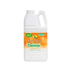 ミマスクリーンケア 緑の魔女 バス浴室洗剤 泡タイプ 替 業務用 2L 浴室用洗剤 掃除用洗剤 洗剤 清掃