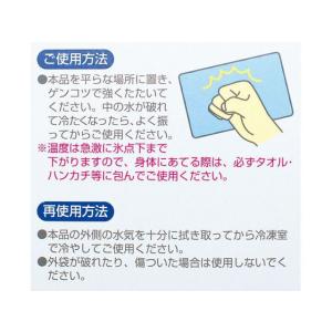 紀陽除虫菊 速攻冷却 K-2001 冷却 温熱...の詳細画像1
