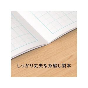 キョクトウ 横開さんすう B5 6マス 中心リ...の詳細画像2