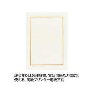 オキナ OA対応辞令・賞状用紙 A4 10枚 ...の詳細画像1