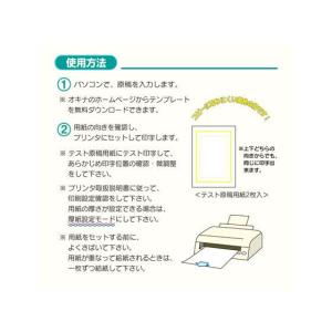 オキナ OA対応辞令・賞状用紙 A4 10枚 ...の詳細画像5