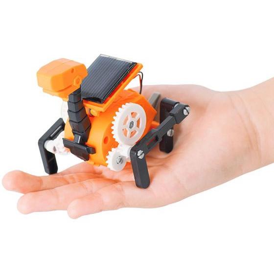 【お取り寄せ】イーケイジャパン エレキット ロボビット JS-6216 プログラミング教材 研究 観...