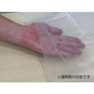 詰替用ゴミ袋薄手タイプ 半透明 70L 100...の詳細画像2