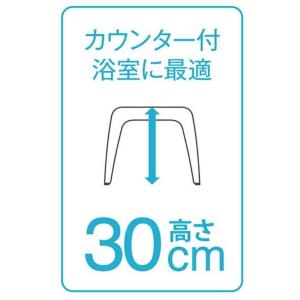 【お取り寄せ】アスベル リアロ 風呂イス 30...の詳細画像1