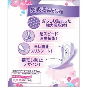 P&Gジャパン ウィスパー 1枚2役W...の詳細画像1