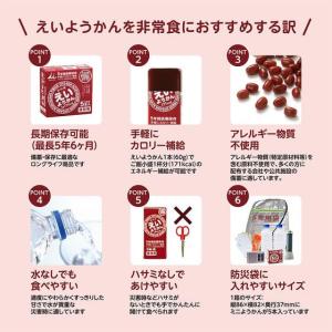 井村屋 えいようかん 60g 5本 食品 飲料...の詳細画像3