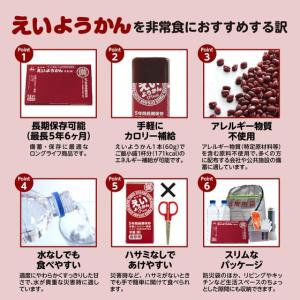 井村屋 えいようかん 60g 12本 食品 飲...の詳細画像1