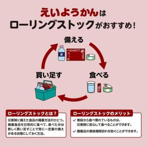 井村屋 えいようかん 60g 12本 食品 飲...の詳細画像3