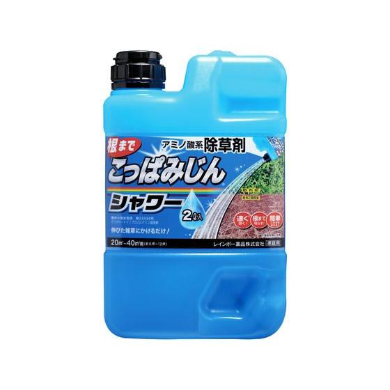 【お取り寄せ】レインボー薬品 こっぱみじんシャワー 2L