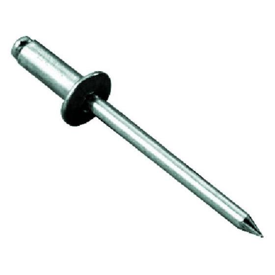 【お取り寄せ】エビ ブラインドリベット アルミ／スティール 8-8 (500本入) NSA88 ボル...