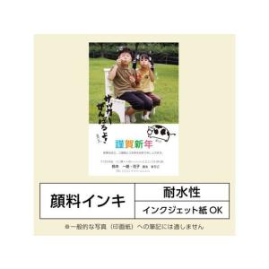ぺんてる ぺんてる筆 極細 XFP5F 濃墨 ...の詳細画像3