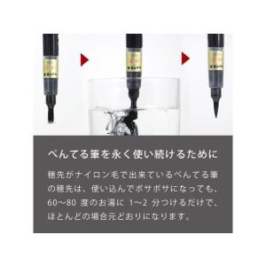 ぺんてる ぺんてる筆 極細 XFP5F 濃墨 ...の詳細画像5