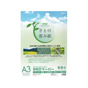 SAKAEテクニカルペーパー/A3プリンター用紙120g50枚