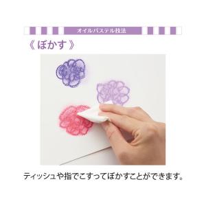 ぺんてる Vistage(ヴィスタージュ)大人...の詳細画像3