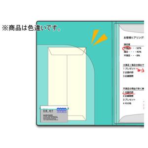 キングジム クリアーファイル カキコ A4 2...の詳細画像4