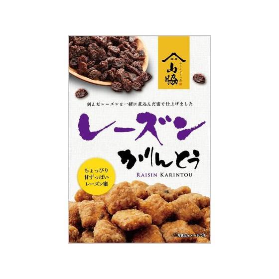 山脇製菓 レーズンかりんとう 90g 和菓子 デザート菓子 お菓子