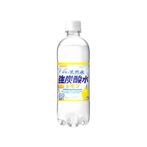 日本サンガリア 伊賀の天然水 強炭酸水 レモン ...の商品画像