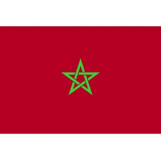 【お取り寄せ】東京製旗 卓上旗(16×24cm)モロッコ 406786 安全標識 ステッカー 現場 ...