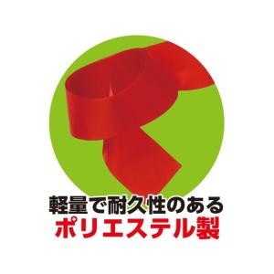 【お取り寄せ】アーテック 新体操リボン 赤 1...の詳細画像2