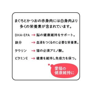 【お取り寄せ】アイシア 黒缶パウチ子ねこまぐろ...の詳細画像4