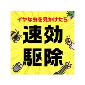 アース製薬 虫コロリアース 粉剤 1kg 虫除...の詳細画像1