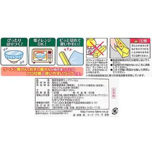 リケンテクノス NEWたっぷり 30cm×10...の詳細画像1