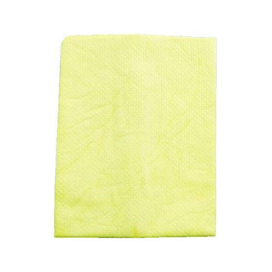 【お取り寄せ】AION プラスセーヌ ボディ&amp;ガラス レギュラー2枚セット R307-TK