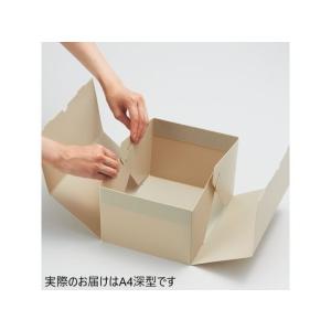 【お取り寄せ】リヒトラブ Roomy 折りたた...の詳細画像5