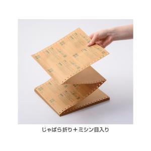 【お取り寄せ】ヒサゴ 錆ニック 気化性防錆紙鉄...の詳細画像1