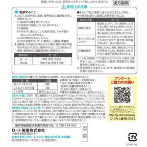 【第2類医薬品】薬)ロート製薬 和漢箋 ラクリ...の詳細画像1