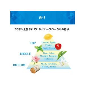 NSファーファJ ファーファ 3倍濃縮超コンパ...の詳細画像4