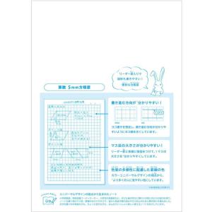 キョクトウ カレッジみんなの学習 算数 5mm...の詳細画像1