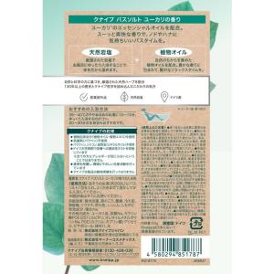 クナイプ バスソルト ユーカリの香り 50g ...の詳細画像1