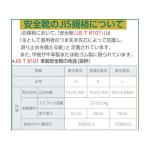 【お取り寄せ】アシックス ウィンジョブ70S ...の詳細画像4