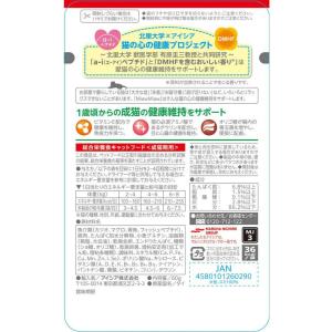 【お取り寄せ】アイシア MiawMiaw ジュ...の詳細画像2