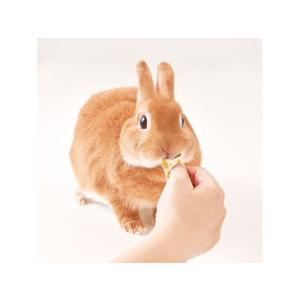 【お取り寄せ】マルカン 快腸ぐらしうさぎのぴゅ...の詳細画像3