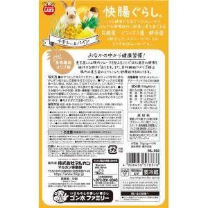 【お取り寄せ】マルカン 快腸ぐらしうさぎのぴゅ...の詳細画像4