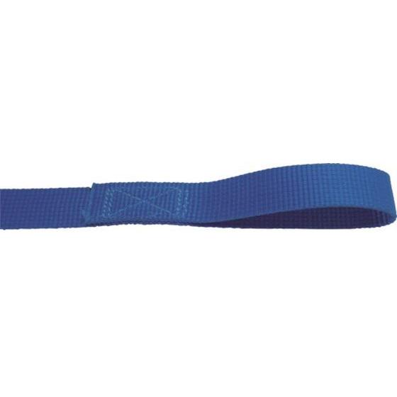 【お取り寄せ】TESAC ラッシングベルト(ベルト荷締機)ラチェットバックル式アイタイプ ベルト荷締...