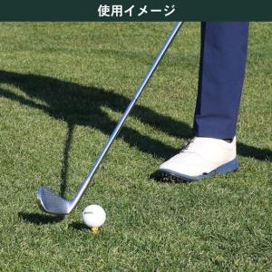 【お取り寄せ】タバタゴルフ プラスリム ショー...の詳細画像3