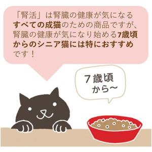 【お取り寄せ】アイシア 腎活 まぐろとささみ ...の詳細画像3