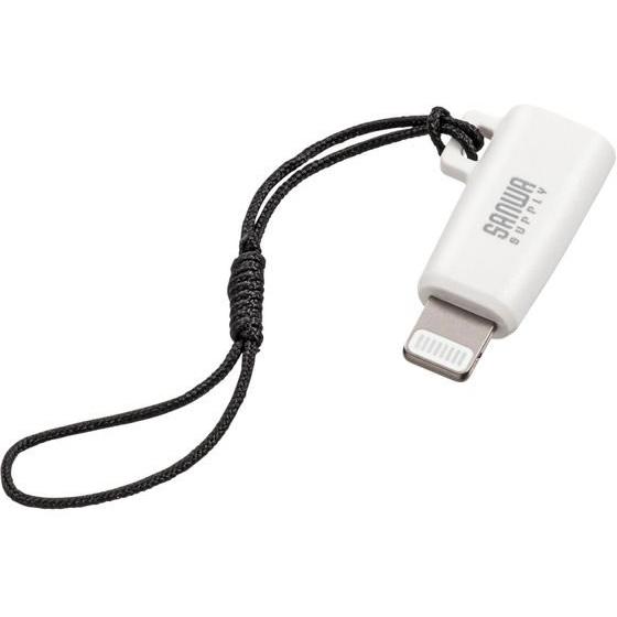 サンワサプライ Type-CtoLightning変換アダプタ AD-USB30LCFW 変換アダプ...