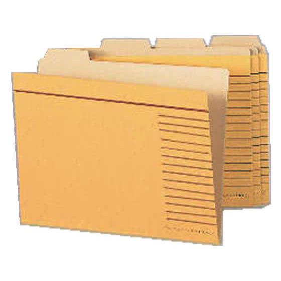 ライオン事務器 カットフォルダー B5 4山 5組 B5-4F-R-20P 13178 １ ４カット...