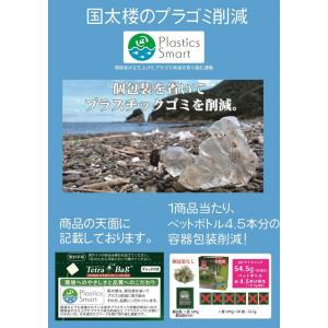 国太楼 お徳用 宇治抹茶入り緑茶 三角ティーバ...の詳細画像2