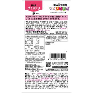 UHA味覚糖 UHAグミサプリ 鉄 20日分 ...の詳細画像1
