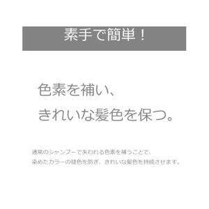 アンナドンナ エブリ カラーシャンプー[ブルー]の詳細画像3