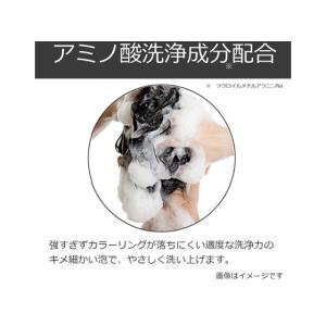 アンナドンナ エブリ カラーシャンプー[ブルー]の詳細画像5