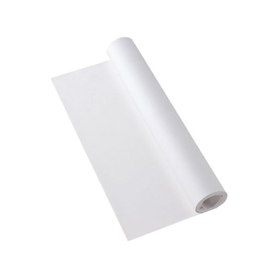 リュウグウ ロール紙 模造紙 50枚 YS-J55-50R 模造紙 無地 図画 工作 教材 学童