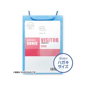 【お取り寄せ】ソニック カラーイベント吊下げ名...の詳細画像1
