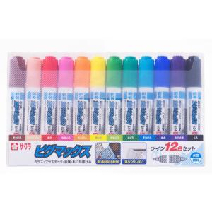 2個までメール便OK】 サクラクレパス ピグマックスツイン [12色セット