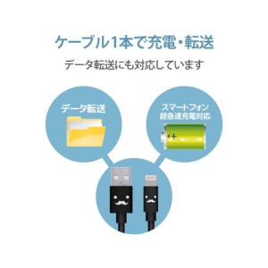 【お取り寄せ】エレコム カラフルLightni...の詳細画像5
